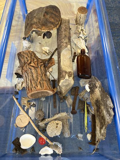 An exhibit of objects found in the local environment for everyone to touch, from tree bark to a glass bottle