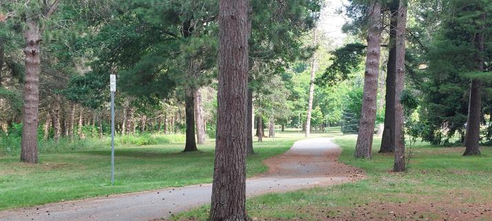 Park rules signs that no one can read since they're too high up with too small print. I see that they put some kind of white paint or tape over some of it. 