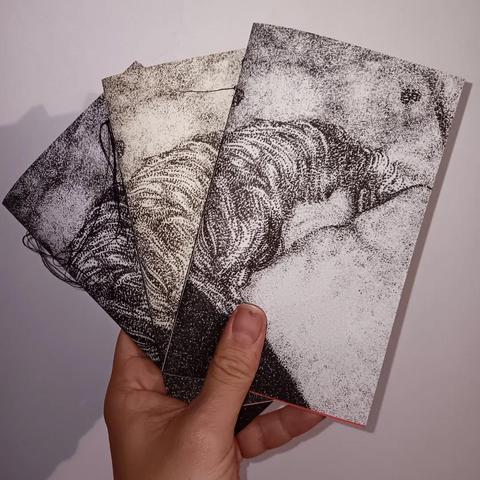 Photo de ma main brandissant trois fanzines reliés la main. La couverture représente une silhouette nue reposant sur un torse nu.