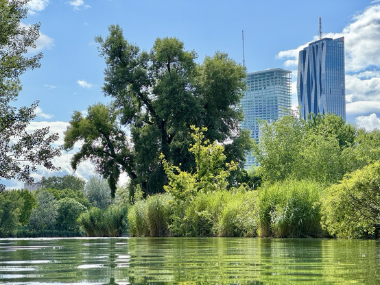 View over a narrow passage, 100 m long and 10 m wide, from the small lake “Kaiserwasser” to the large lake “Alte Donau”. The water has a greenish shimmer due to the bright green reeds on the shore and the many bushes and trees. Two striking skyscrapers can be seen in the background. Blue sky and a few clouds.