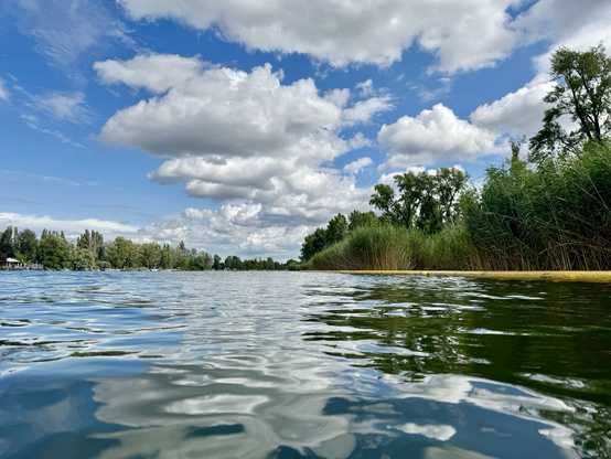 Swimming POV: The blue sky and a few large, harmless clouds are reflected in the water. On the right, the reed-covered shore of the island “Gänsehäufel”. On the left, the northern shore of the “Alte Donau” lake. Straight ahead, there is still a damn long way to swim.