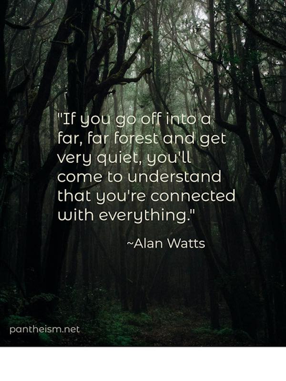 Saying about nature and pantheism