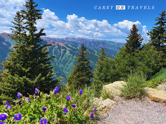View from the top of the Aspen gondola in summer