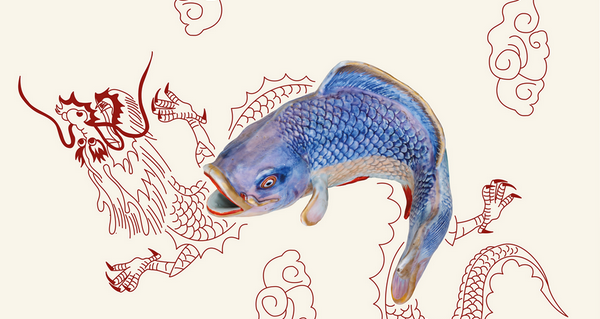 Visuel de l'exposition "de la carpe aux merlus"