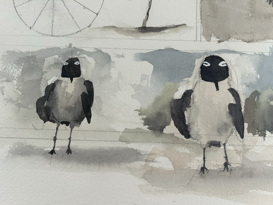 Two laughing gulls  painted in watercolor 