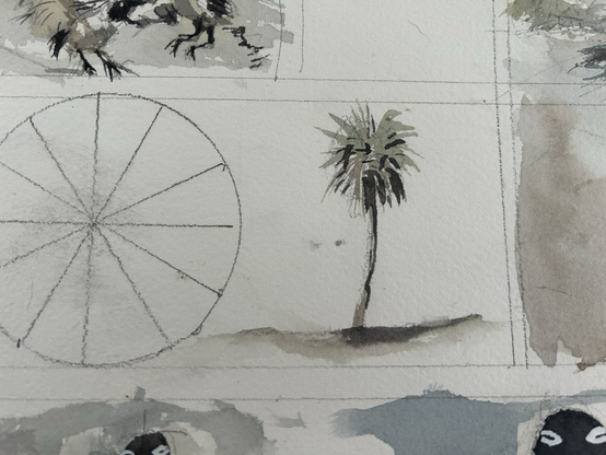 Close up of Sabal palm tree from previous images 
