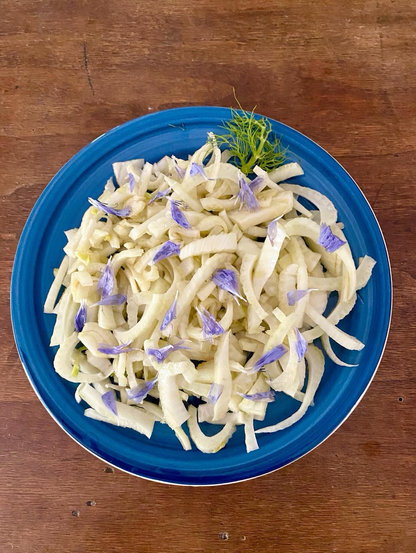 Fennel salad with chicory flowers