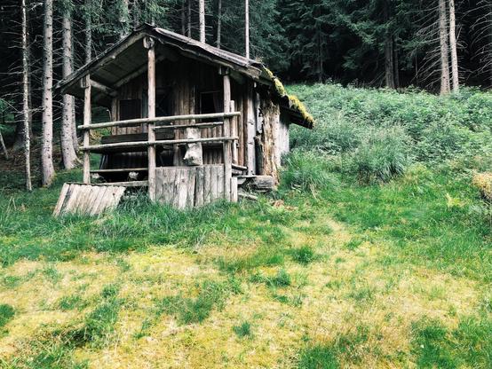 A wooden and old mountain hut near the trees