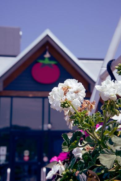 A cluster of white flowers on a plant hanging on a rack in front of a store with an A-Frame entrance with a tomato for a logo