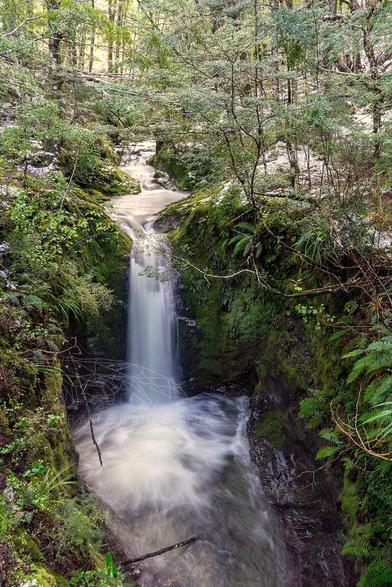A serene forest waterfall near Sam’s Hut in Fiordland National Park, New Zealand, spilling into a mossy pool surrounded by ferns and thick undergrowth. The long exposure creates a silky, flowing effect as water tumbles between rugged, vegetation-covered rock walls. A light dusting of snow covers parts of the foliage, blending wintry stillness with rich green life. The forest canopy above filters gentle natural light, giving the whole scene a peaceful, enchanted feeling.
