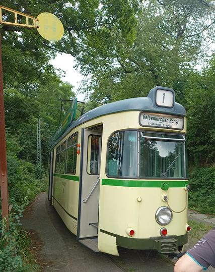 Ein historischer Straßenbahnwagen von 1957 von schräg vorn. Er ist hellgelb mit grünen Streifen. Oben steht dran "Gelsenkirchen-Horst". Die Haltestelle befindet sich im Wald beim Naturfreundehaus auf der historischen Strecke Kohlfuhrt - Cronenberg (Wuppertal).