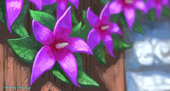 Fleurs d'imagination.