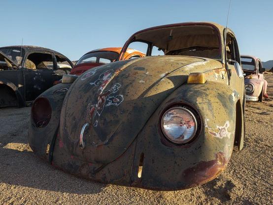 Rusty, stripped Volkswagen beetles decaying in desert landscape.