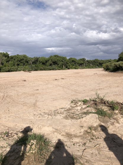 Dry sandy river bed with green vegetation on the opposite bank.