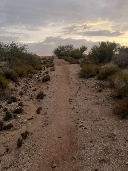 Uphill of a wash section with a couple gentle roller jumps
