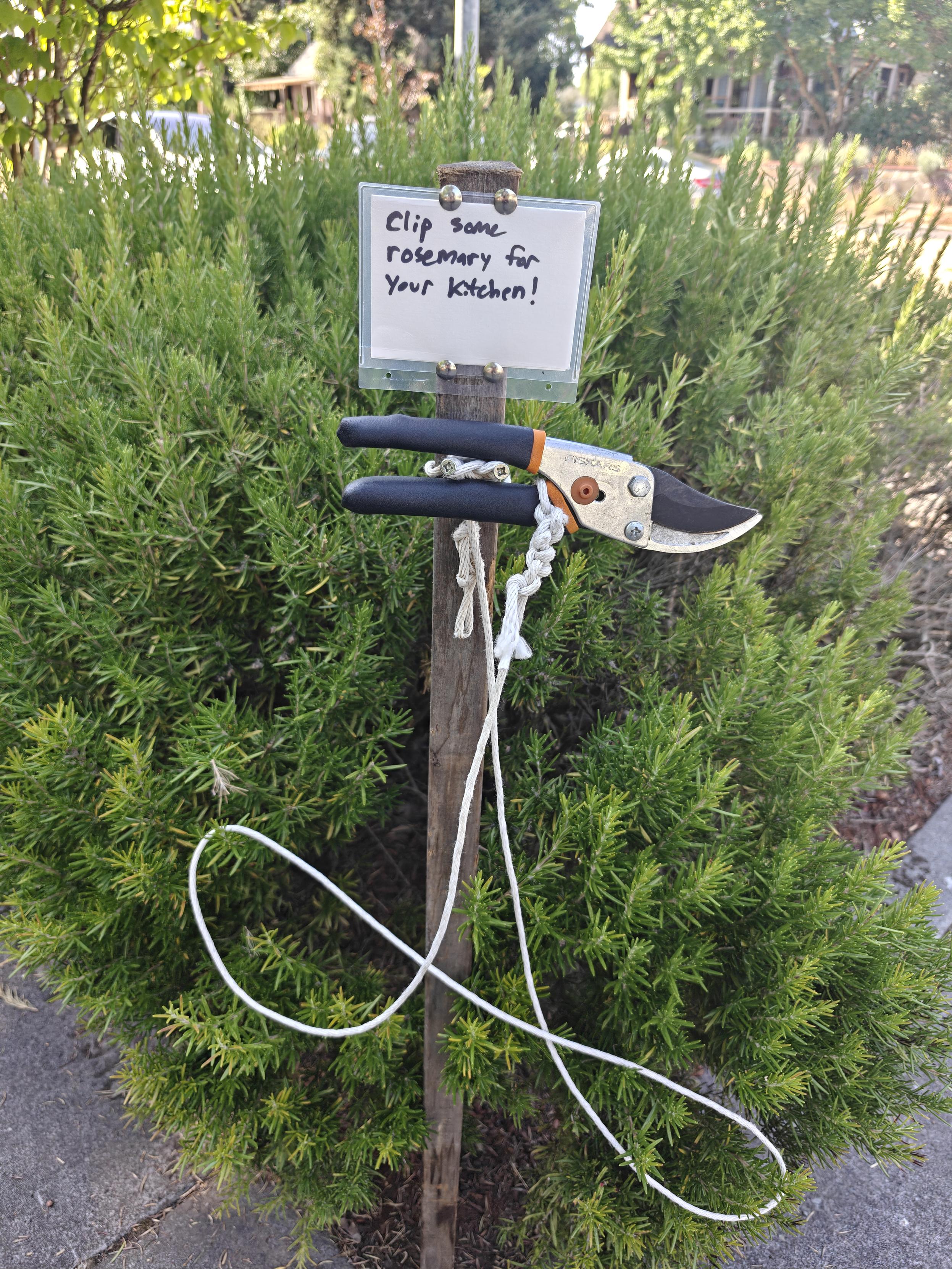 I sign in front of a bush of rosemary that says "clip some rosemary for your kitchen" with a pair of garden snips attached by a string 