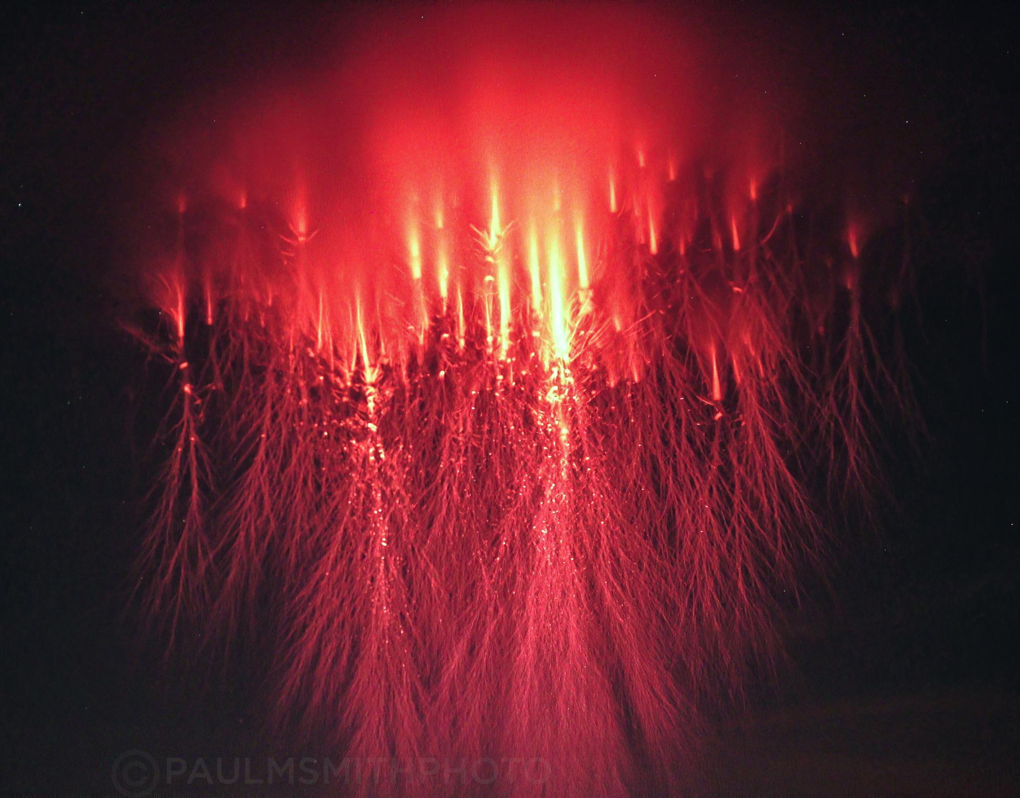 Red sprites close-up Red sprites close-up