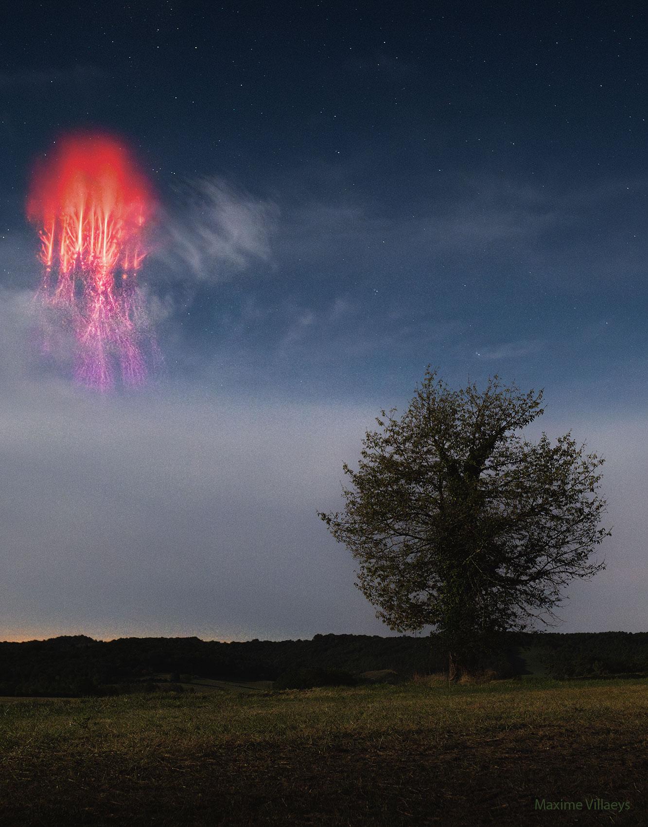 Above and below.
(A fiery tree-like red sprite and a green tree on the ground). Above and below.
(A fiery tree-like red sprite and a green tree on the ground).