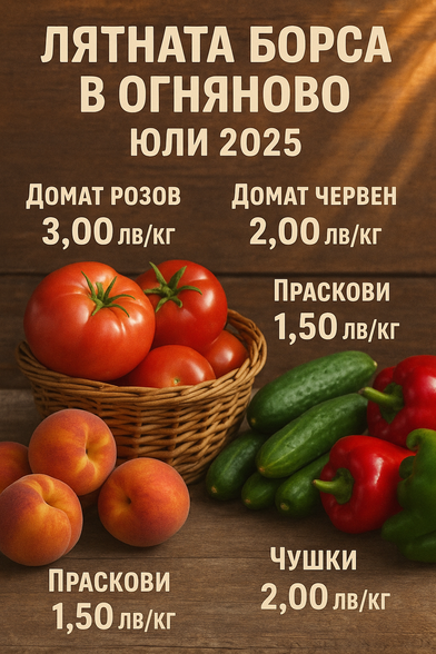 борсата в Огняново