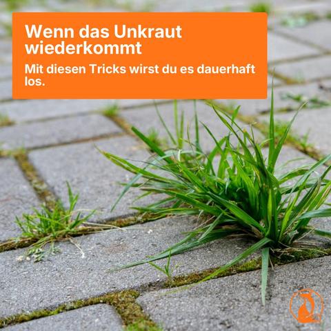 Bewertungen zu alltagsfuchs.de