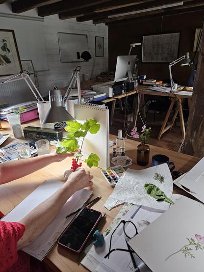 Vue d'atelier : plantes, carnets, crayons et pinceaux