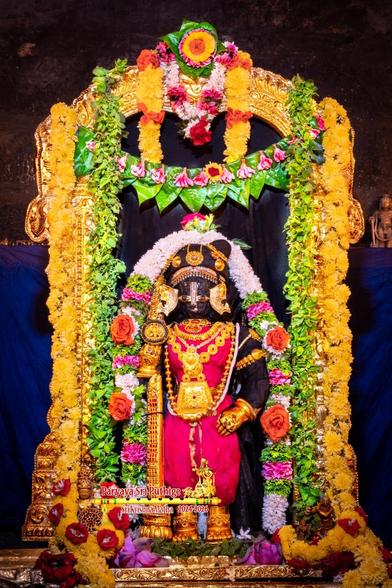Idol of Hindu deity Krishna in red (with pink hue) standing gold-clad staff in right hand, left hand on front left waist. Krishna wears large ear rings shaped like fish, gold shoes, gold palm coverings, and several gold ornaments including a broad medallion attached to an elaborate necklace. A string of white flowers (large red roses between) encircles Krishna. Green holy basil leaves and assorted loose flowers at Krishna's feet.

A large gold arch behind Krishna. Strings of green holy basil leaves hang down from the arch and go all the way to the floor. A string of green beetle leaves across the top of the arch. Smaller flower strings as well at the middle-top of the arch.

Blue cloth background.