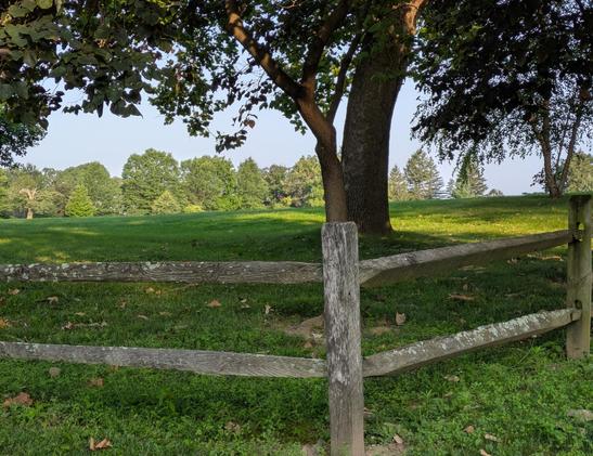 Photo taken at the corner of an old brown wooden post fence that has several patches of light green lichen staining it. A large tree is shading the foreground. Much of the lower half of the scene from the fence onward is a green field or very large lawn. Beyond it is a row of trees, and above that is blue sky.