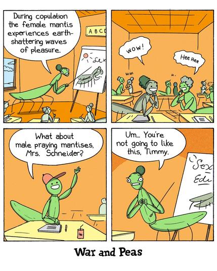 4-panel-comic by War and Peas

Panel 1: In a classroom full of young mantis students, a female mantis teacher stands in front of a chart showing a pair of mating mantises. She says, “During copulation the female mantis experiences earth-shattering waves of pleasure.”

Panel 2: The mantis students react with excitement. One says “WOW!” and another giggles “Hee Hee.”

Panel 3: A male student mantis named Timmy raises his hand and asks, “What about male praying mantises, Mrs. Schneider?”

Panel 4: The teacher, looking a bit awkward, replies, “Um... You’re not going to like this, Timmy.” 