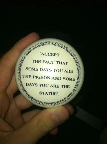 a pin that says 'accept the fact that some days u are the pigeon and some days u are the statue"