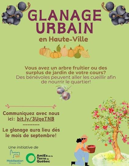 Image illustrant un sondage pour du glanage urbain en haute-ville à Québec bit.ly/3UqeTNB