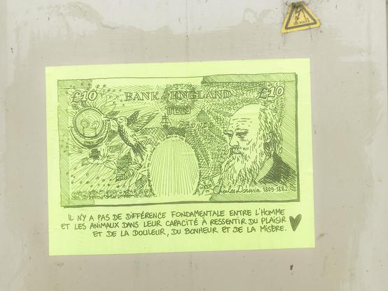 10£, Charles Darwin