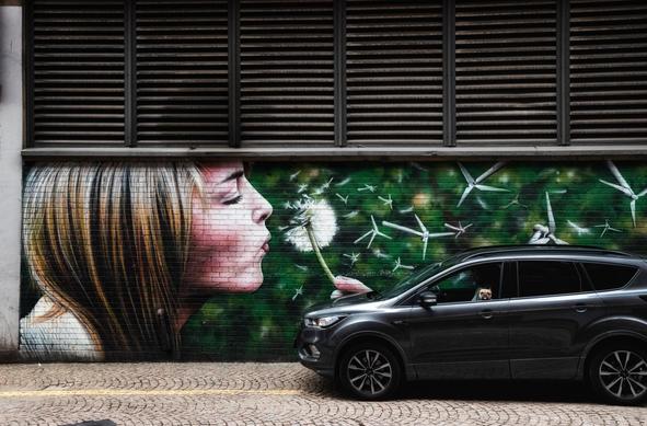 A car parked in front of a graffiti in Glasgow with a dog looking out the window.