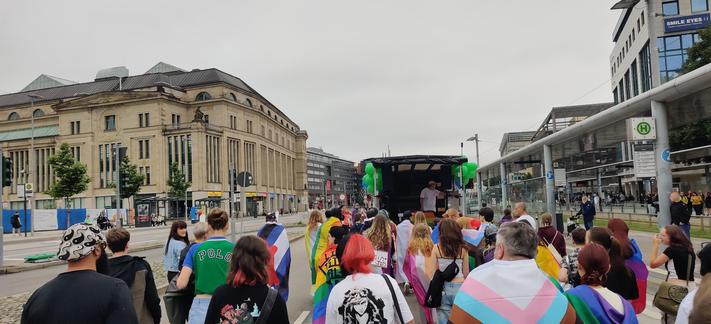 demozug mit bunten Menschen. nach vorne fotografiert.