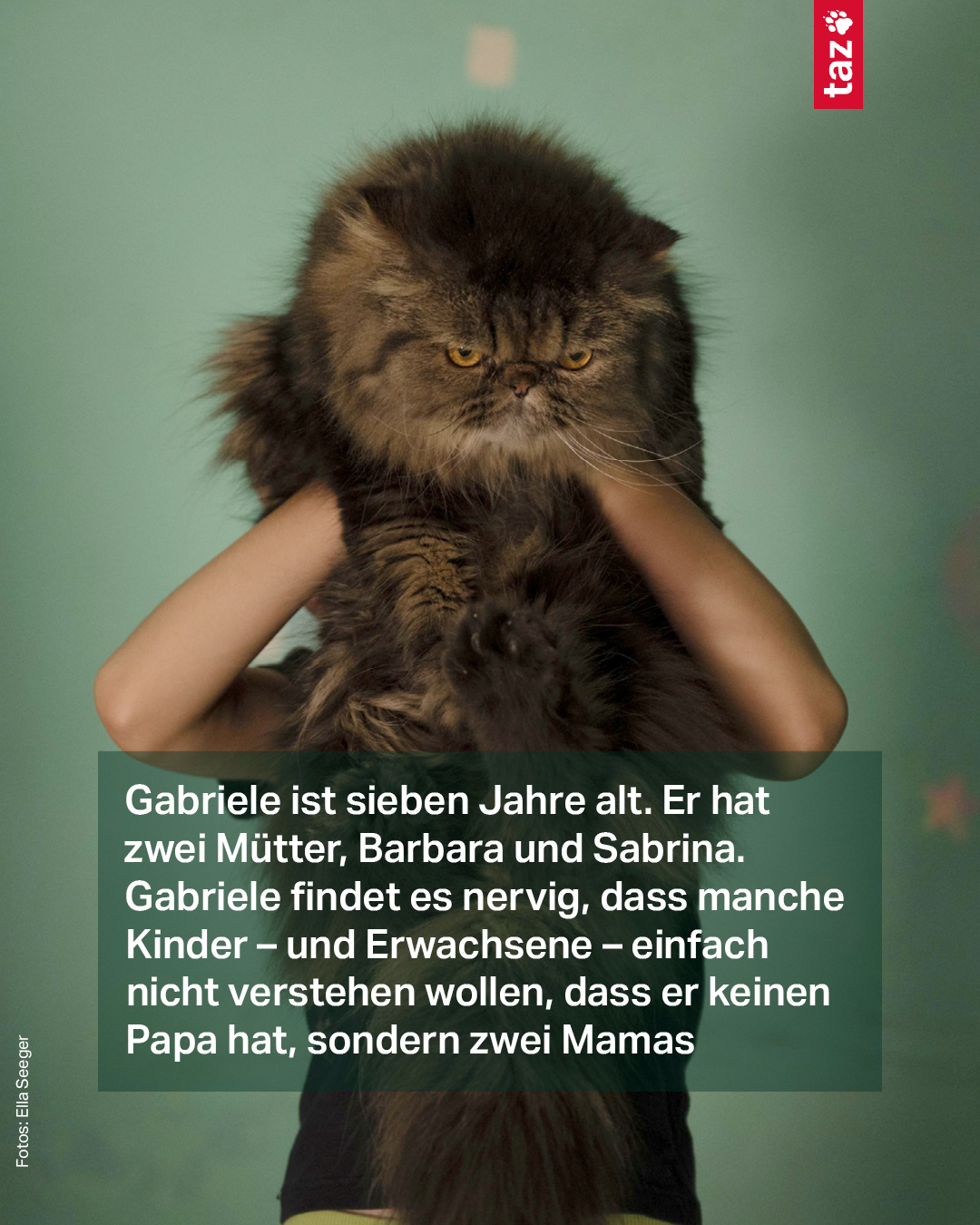 Zu sehen ist Gabriele, der eine flauschige Katze vor sein Gesicht hält. Dazu der Text: Gabriele ist sieben Jahre alt. Er hat zwei Mütter, Barbara und Sabrina. Gabriele findet es nervig, dass manche Kinder – und Erwachsene – einfach nicht verstehen wollen, dass er keinen Papa hat, sondern zwei Mamas Zu sehen ist Gabriele, der eine flauschige Katze vor sein Gesicht hält. Dazu der Text: Gabriele ist sieben Jahre alt. Er hat zwei Mütter, Barbara und Sabrina. Gabriele findet es nervig, dass manche Kinder – und Erwachsene – einfach nicht verstehen wollen, dass er keinen Papa hat, sondern zwei Mamas