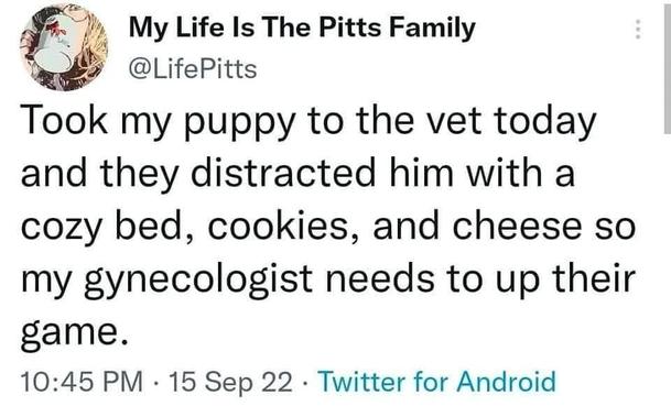 Source: LifePitts on Threads

Took my puppy to the vet today and they distracted him with a cozy bed, cookies, and cheese so my gynecologist needs to up their game.