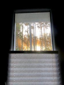 #küche #fenster #ausblick #wald