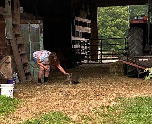 A woman his petting a cat quite literally at arms length while holding a plastic container of cat food with the lid off and in her fingers;  next to her is a door and staircase on the left side,  towards the back is a big open door through which you can see metal gates and trees,  to the right you can see a bit of a large tractor, a hay bale and a half a wheelbarrow