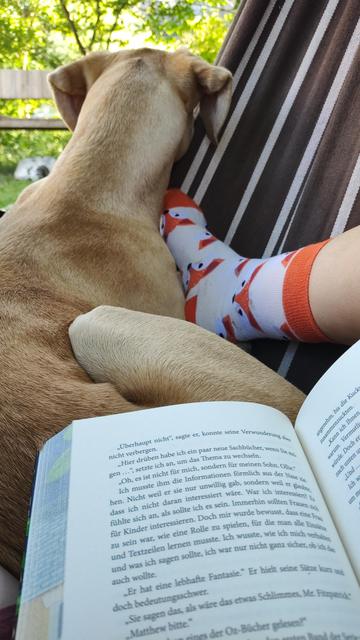Ylvi liegt in der Hängematte und hat sich zwischen meinen Beinen eingerollt. Auf ihr liegt mein geöffnetes Buch, neben ihr sieht  man meinen rechten Fuß, der in Fuchs-Socken steckt.