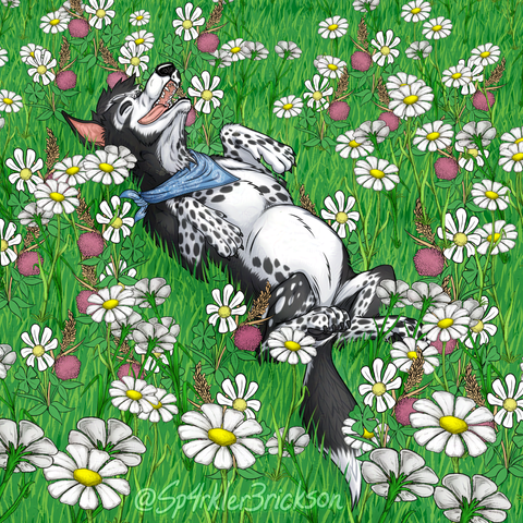 A border collie wearing a blue paisly bandana tied around his neck (with the knot in the back) rolls around in a field of mixed flowers.  There are a lot of daisies, with some clovers and a few seed-laden brown grass stalks.

Though his fur is black and white, as might be expected, the pattern of the collie's coat is not typical of what is most expected in a border collie's coat, with strangely asymmetrical placement of clusters of spots on the face, neck, chest, flank, forelegs, and hindlegs.

The border collie's tongue is hanging out, with his eyes closed and ears flopped open behind his head.  His front paws have a vaguely "T-Rex" pose to them, and his hind legs look as though they were roughly in a "sitting" pose.

The artist's signature is at the center of the bottom edge of the canvas.