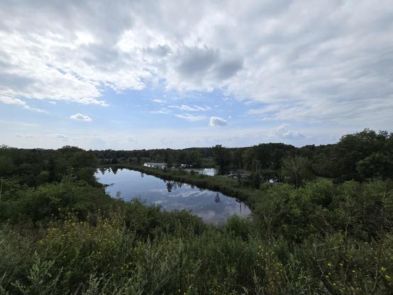 Köppchensee, view from the upper viewpoint