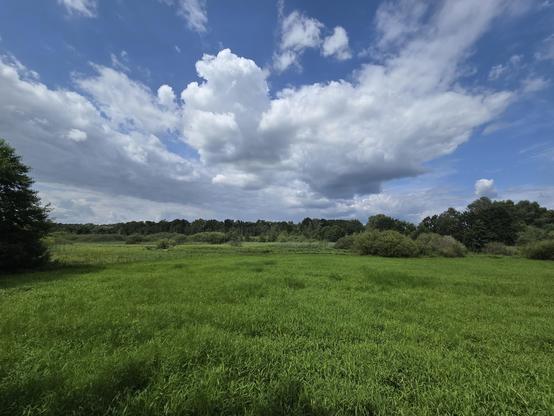 Tegeler Fließ, view from Eichwerder Steg