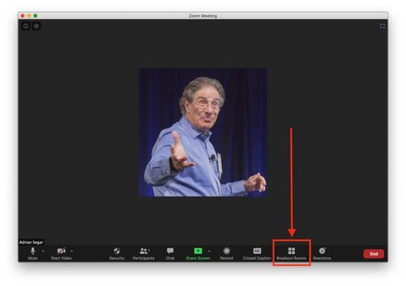 participant-driven breakouts in Zoom: a screenshot of Adrian Segar's Zoom host screen, highlighting the menu's Breakout Rooms icon