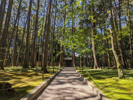 Garden surrounding the Mausoleum of Jianzhen at Toshodai-ji.