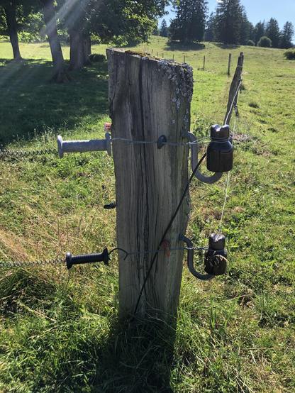 Ein Holz-Zaunpfahl am Eingang einer Weide. Es sind Strommasten-Isolatoren als Halterung der elektrischen Weidezaun-Drähte an ihm angebracht.
