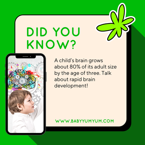 Did you know? 🧠👶 #BabyYumYum #BYY #DidYouKnow #BrainDevelopment #EarlyChildhood #ParentingFacts #ToddlerGrowth #SmartStart #LittleMindsBigGrowth #RealParenting