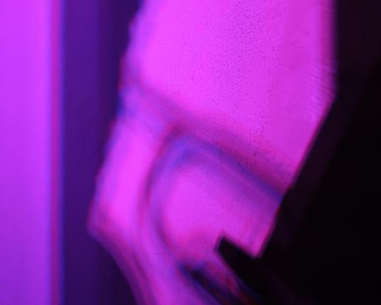 Multicolored shadow of trumpeter.