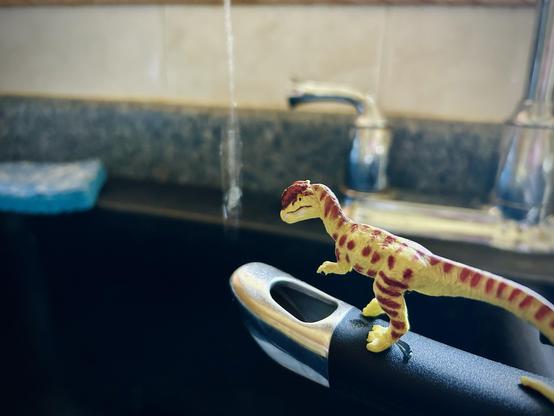 A green Dilophosaurus with brown spots stands on the black handle of a frying pan drying in a strainer and watches a droplet of water fall from a leaky faucet. A blue sponge is on the edge of the sink in the left side of the frame. The silver taps are in the background.