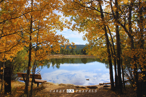 Fall foliage at Mud Lake 