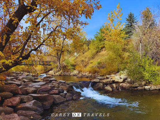 Fall foliage Boulder Creek