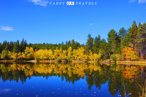Fall foliage Mud Lake in Nederland reflected in the water